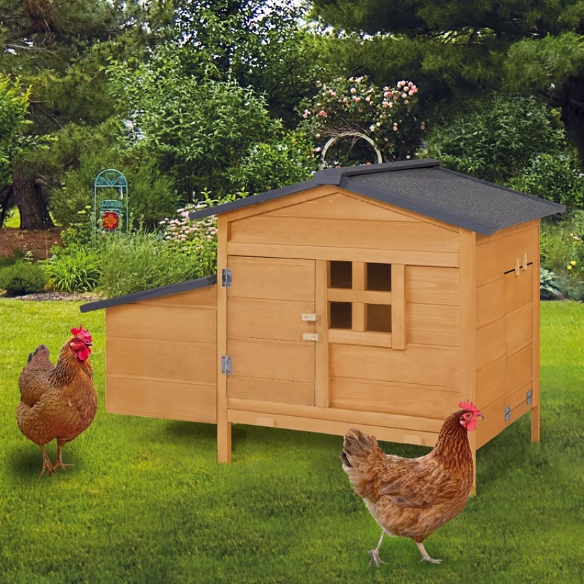 Sortie đ„ IDMARKET Poulailler sur pilotis avec pondoir en bois â â Image 6