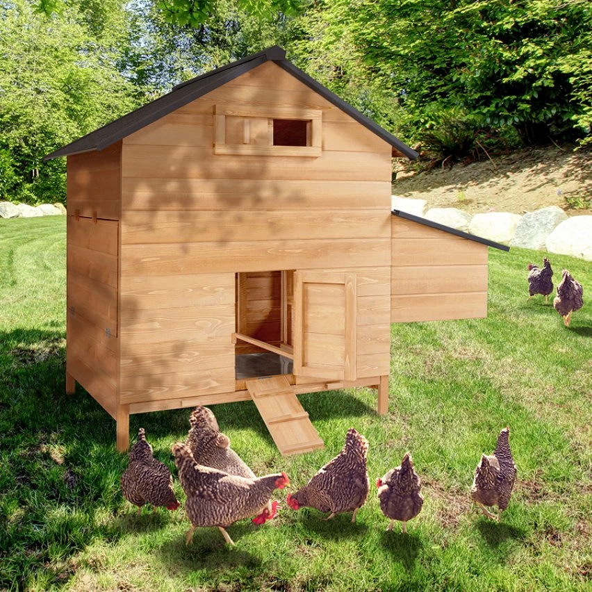 Budget đ IDMARKET Poulailler chalet 6 Ă 10 poules avec pondoir en bois â â Image 2