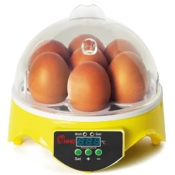 Budget 🎁 IDMARKET Couveuse manuelle 7 oeufs incubateur température réglable ✔️