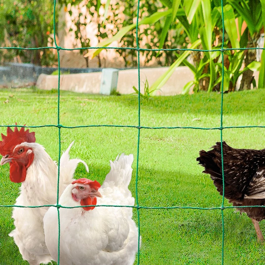 Les meilleures critiques de 👏 IDMARKET Kit clôture électrifiable filet à poules 24 M avec porte 9 piquets double pointe 🎉 – Image 5